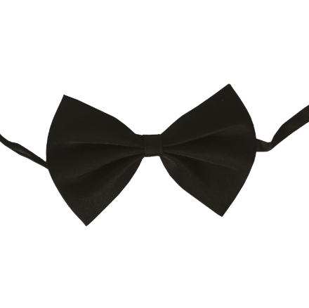 Motýlek černý produktové foto