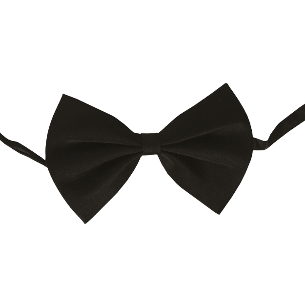 Motýlek černý produktové foto