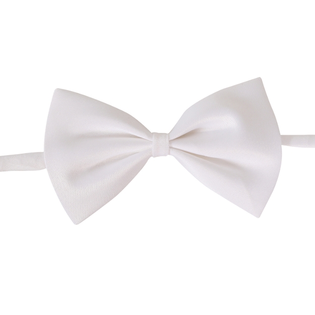 Bílý motýlek produktové foto