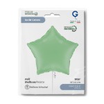 Matně zelená hvězda pro přírodní a moderní party výzdobu