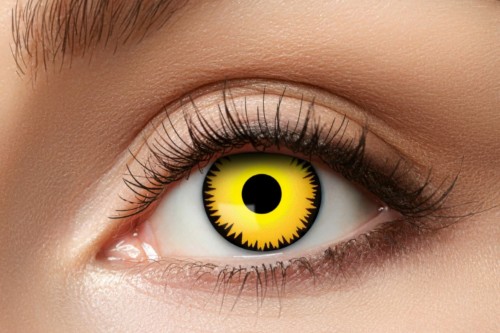 Levně Barevné kontaktní čočky Lví oči – Lion Eye, 3měsíční, 1 pár