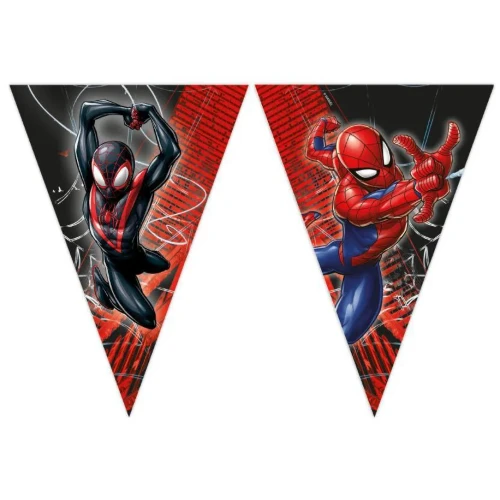 Levně Vlaječková girlanda Spiderman World of Webs