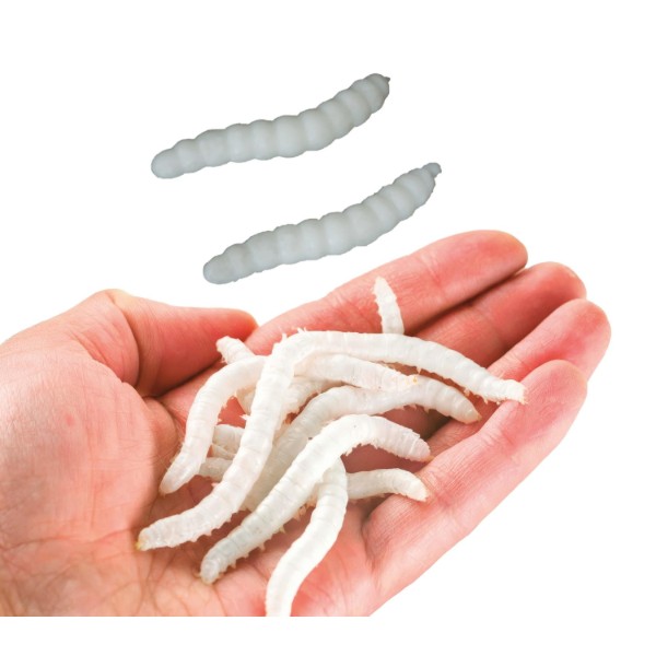 Umělí bílí červi 4 cm 20 ks