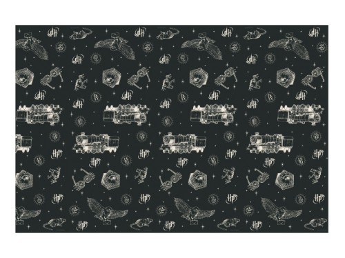 Papírový ubrus Harry Potter černý – 120 × 180 cm