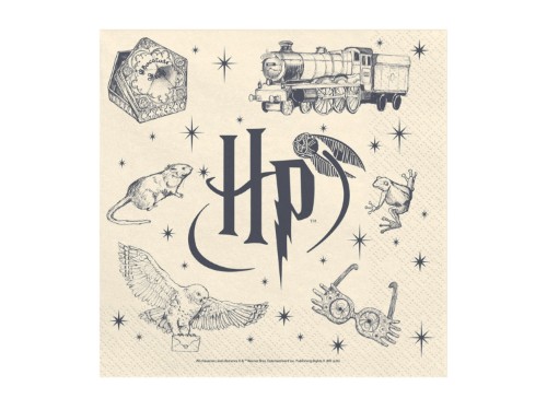 Papírové ubrousky Harry Potter – 33 × 33 cm, 20 ks