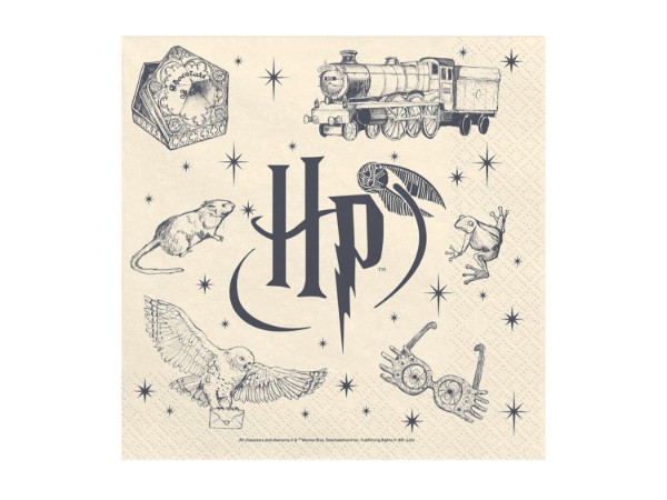 Papírové ubrousky Harry Potter – 33 × 33 cm, 20 ks