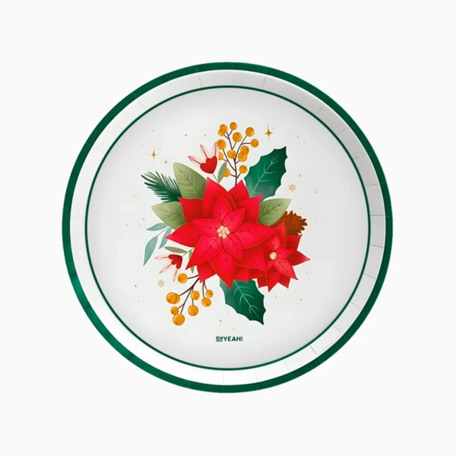 Levně Papírové talíře Vánoční hvězda 23 cm – 6 ks